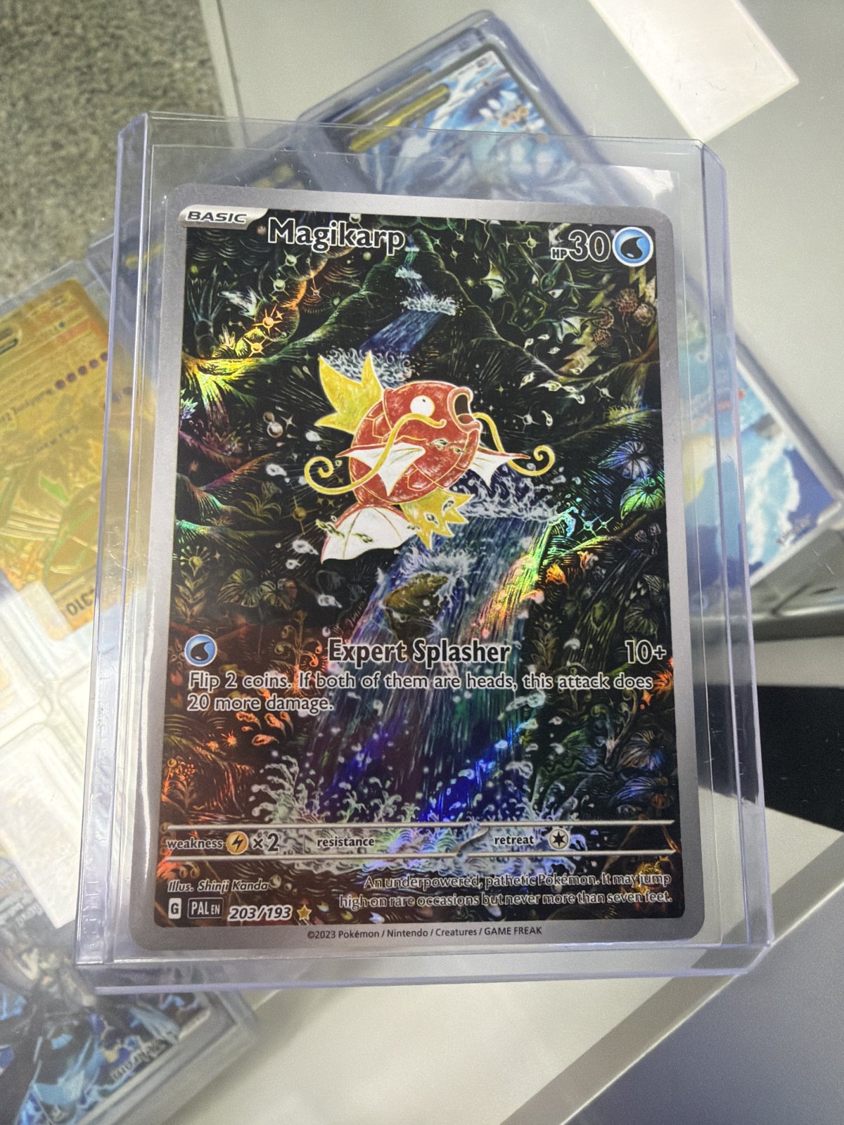 Magikarp - 203/193 - SV02: Paldea Evolved (PAL)(NM)