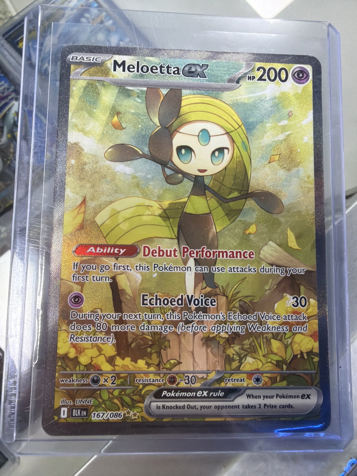 Meloetta ex - 167/086 - SV: Black Bolt (BLK)(NM)