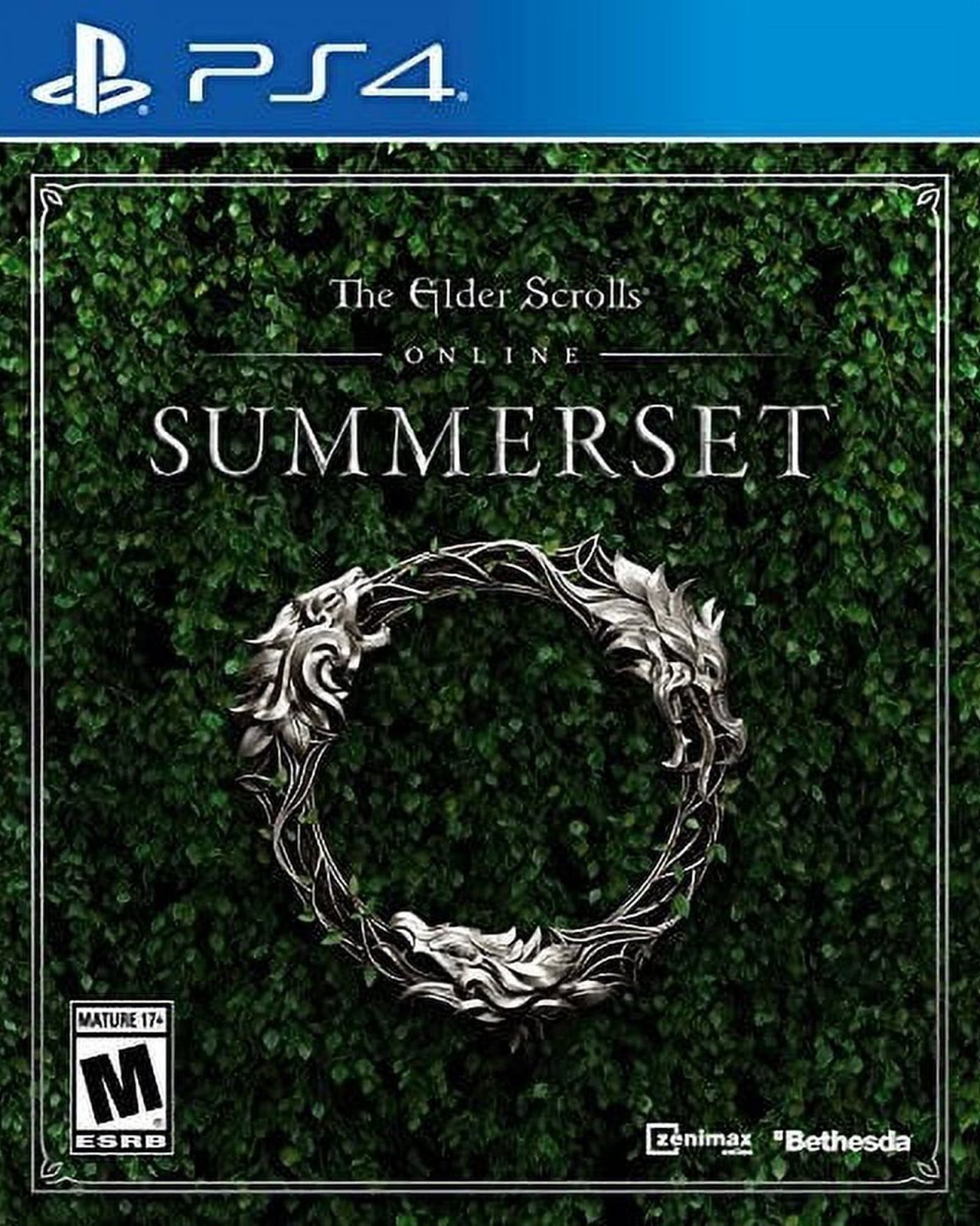 Bethesda Softworks Elder Scrolls Online: Summerset for PlayStation 4 — PlayStation 4